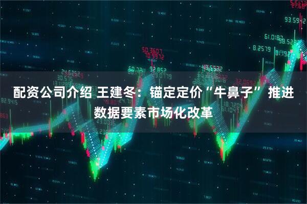 配资公司介绍 王建冬：锚定定价“牛鼻子” 推进数据要素市场化改革