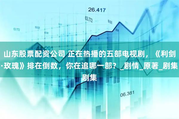 山东股票配资公司 正在热播的五部电视剧，《利剑·玫瑰》排在倒数，你在追哪一部？_剧情_原著_剧集